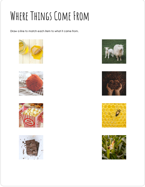 Module 10: Montessori Worksheets